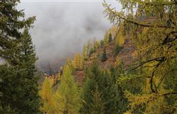 осень в горах Алтая