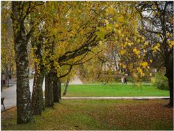 Прогулка по осеннему городу.
