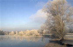 Нежное утро