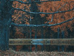 глубокая осень