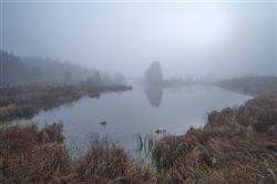 осенний туман