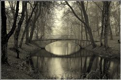 Пришел ноябрьский туман...