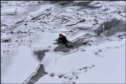 .... Полынья....