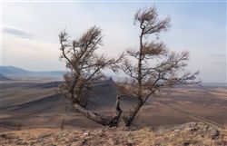 Спокойная Хакасия