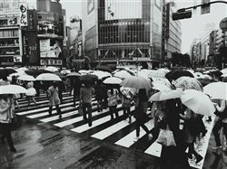 Токио - город летних дождей